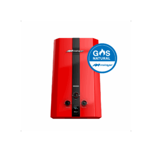 Boiler Gas LP 1 Servicios
